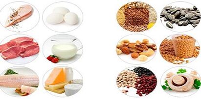 Eat protein products to lose weight