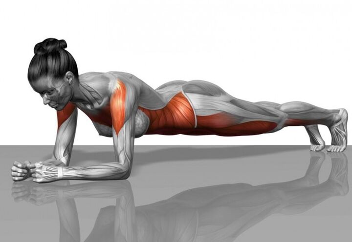 Muscle diagram